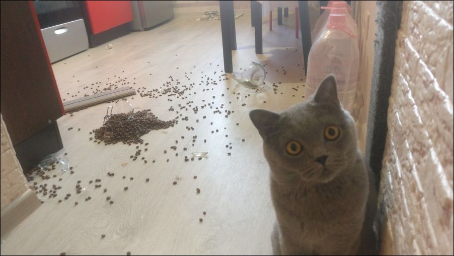 фото приколы