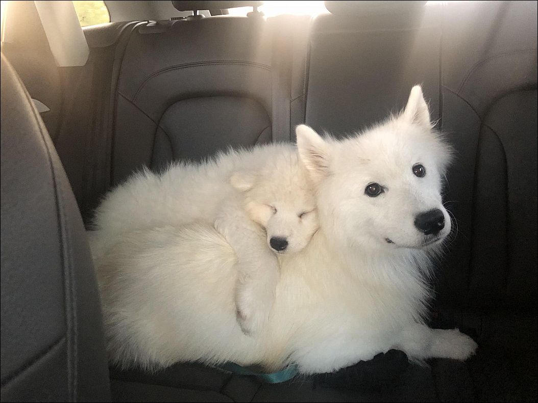 фото приколы