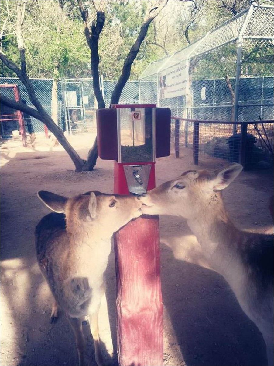 фото приколы