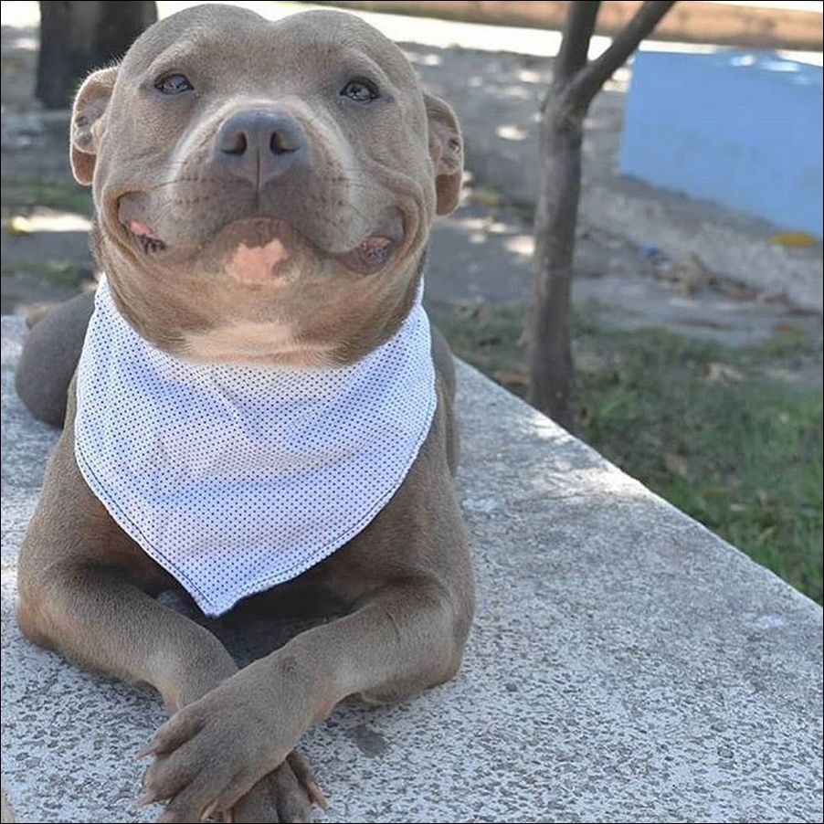 фото приколы