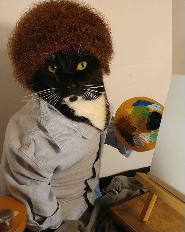 фото приколы