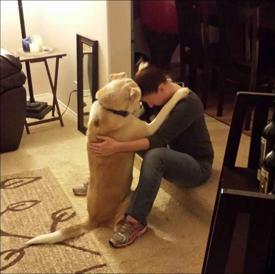 фото приколы