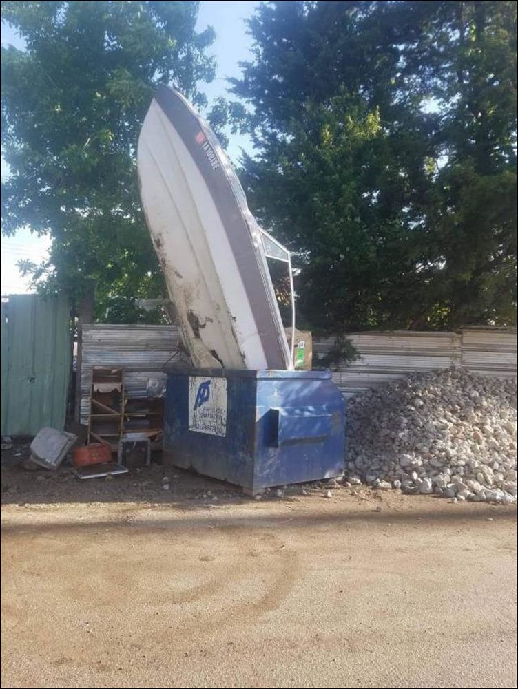 фото приколы