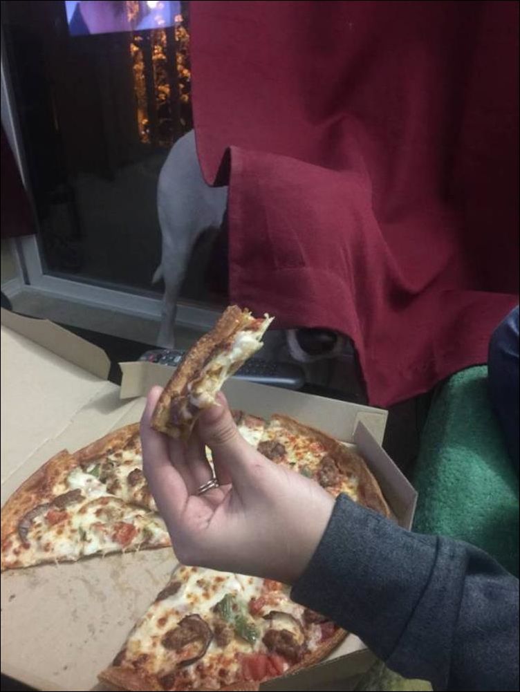 фото приколы