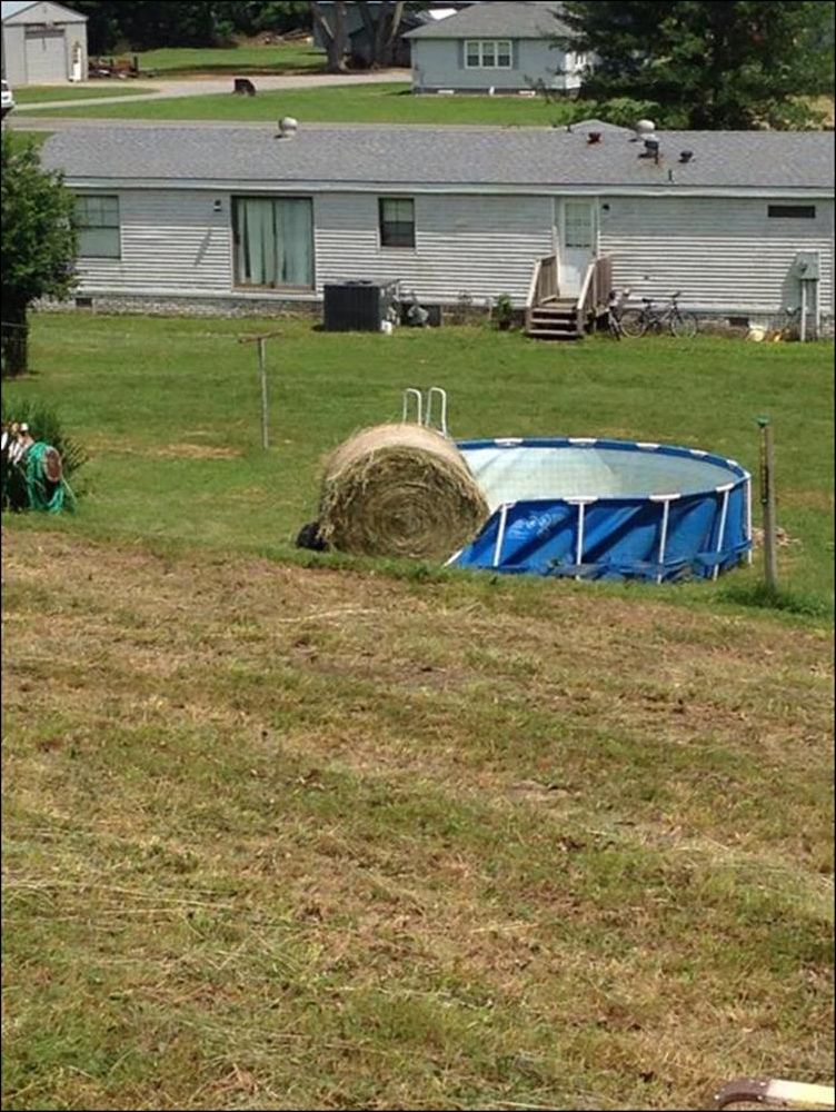 фото приколы