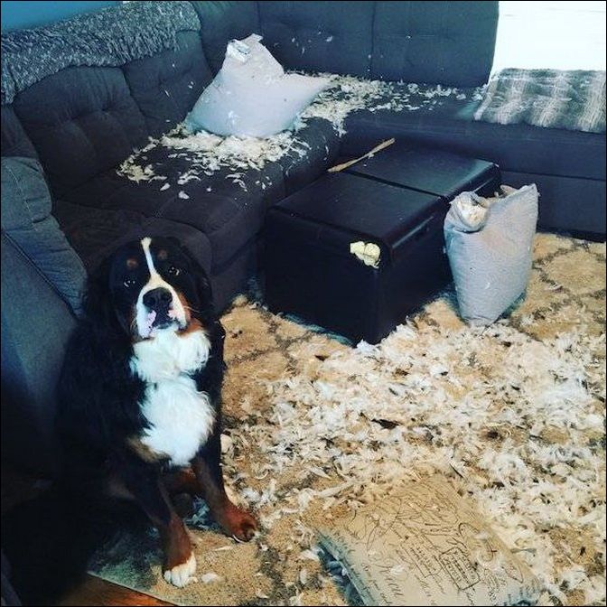 фото приколы