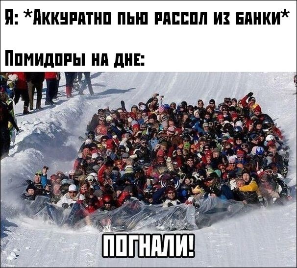 прикольные картинки прикольные картинки