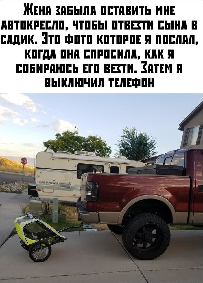 прикольные картинки прикольные картинки