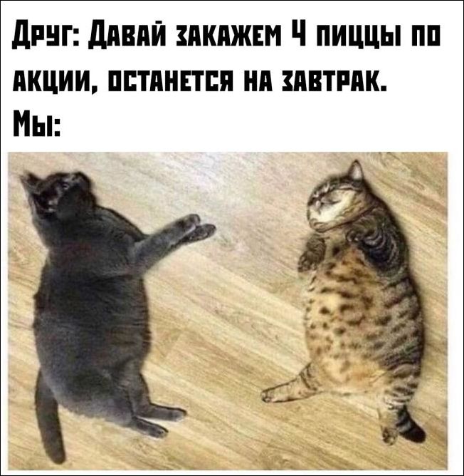 прикольные картинки прикольные картинки