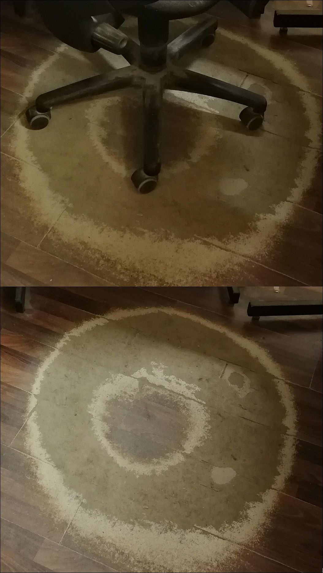 фото приколы