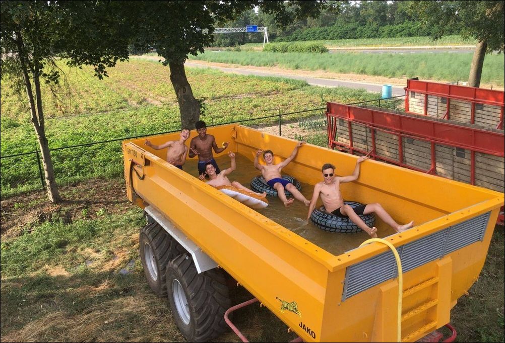 фото приколы