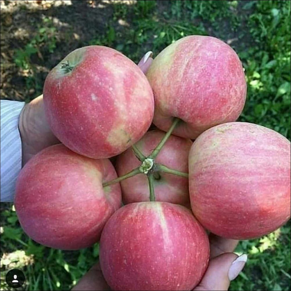 фото приколы