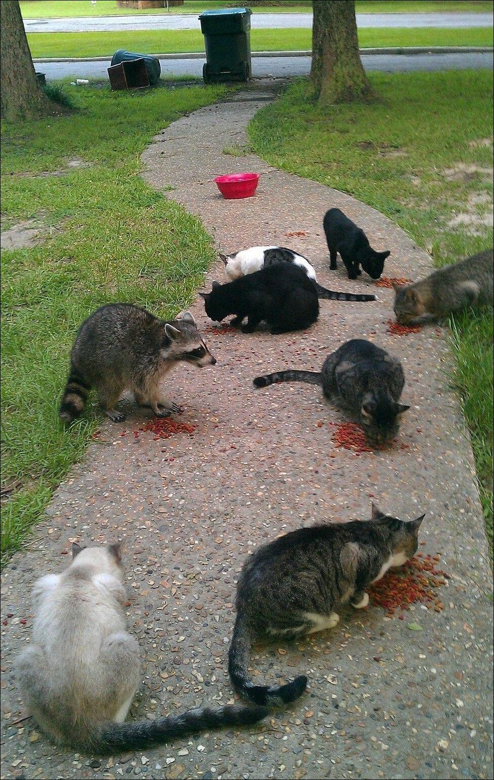 фото приколы