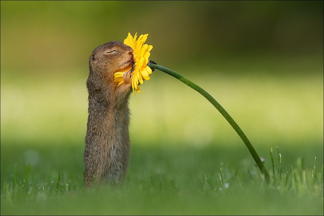 фото приколы