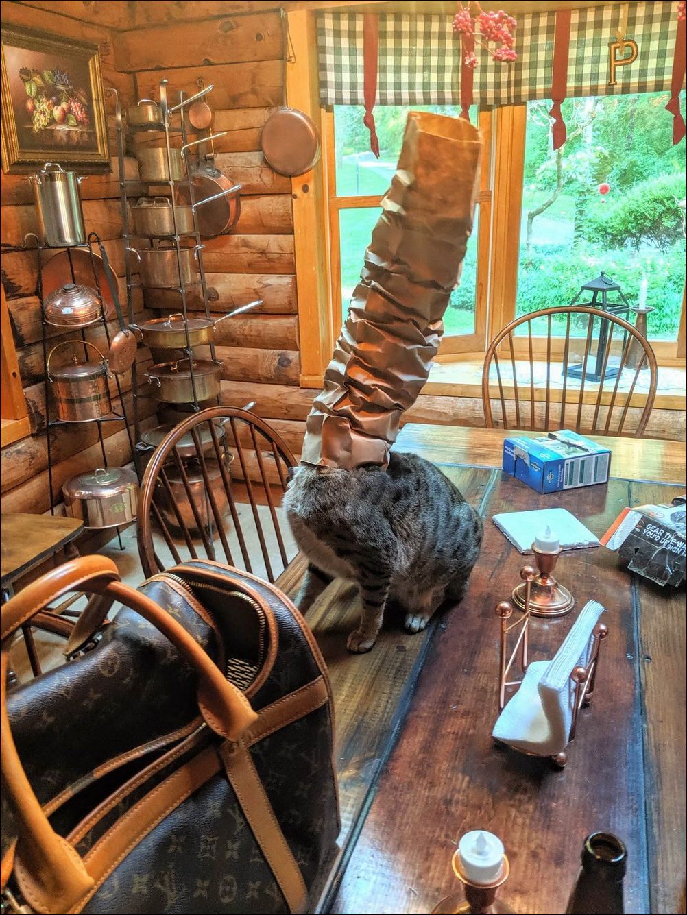 фото приколы