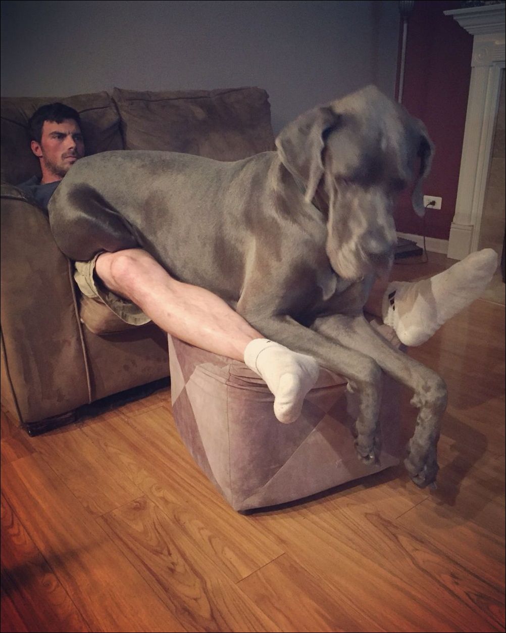 фото приколы