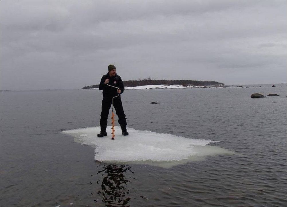 фото приколы