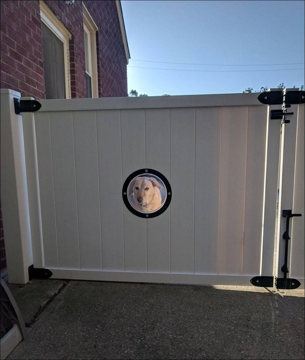 фото приколы