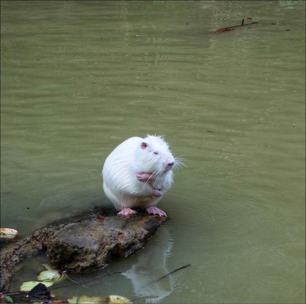 фото приколы