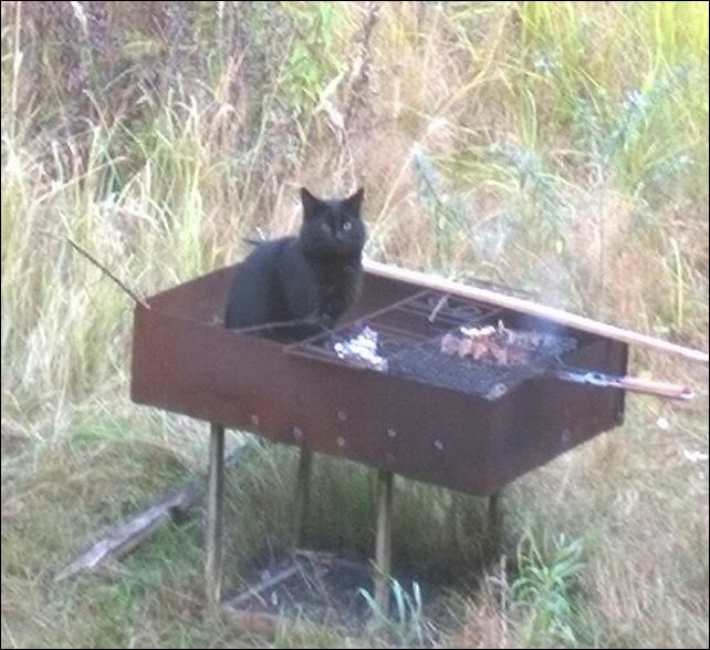 фото приколы