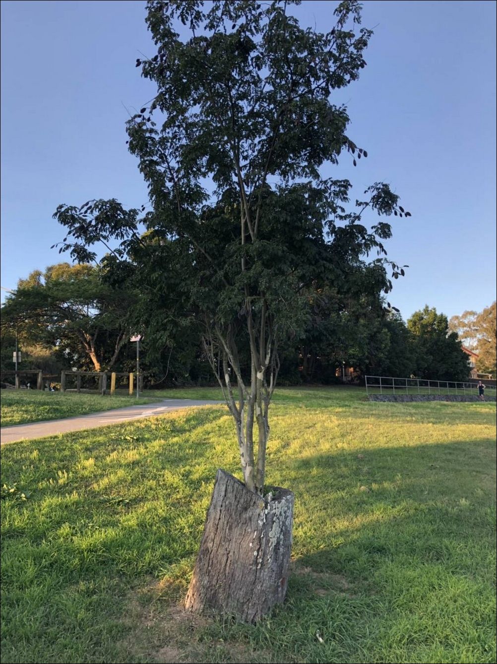 фото приколы