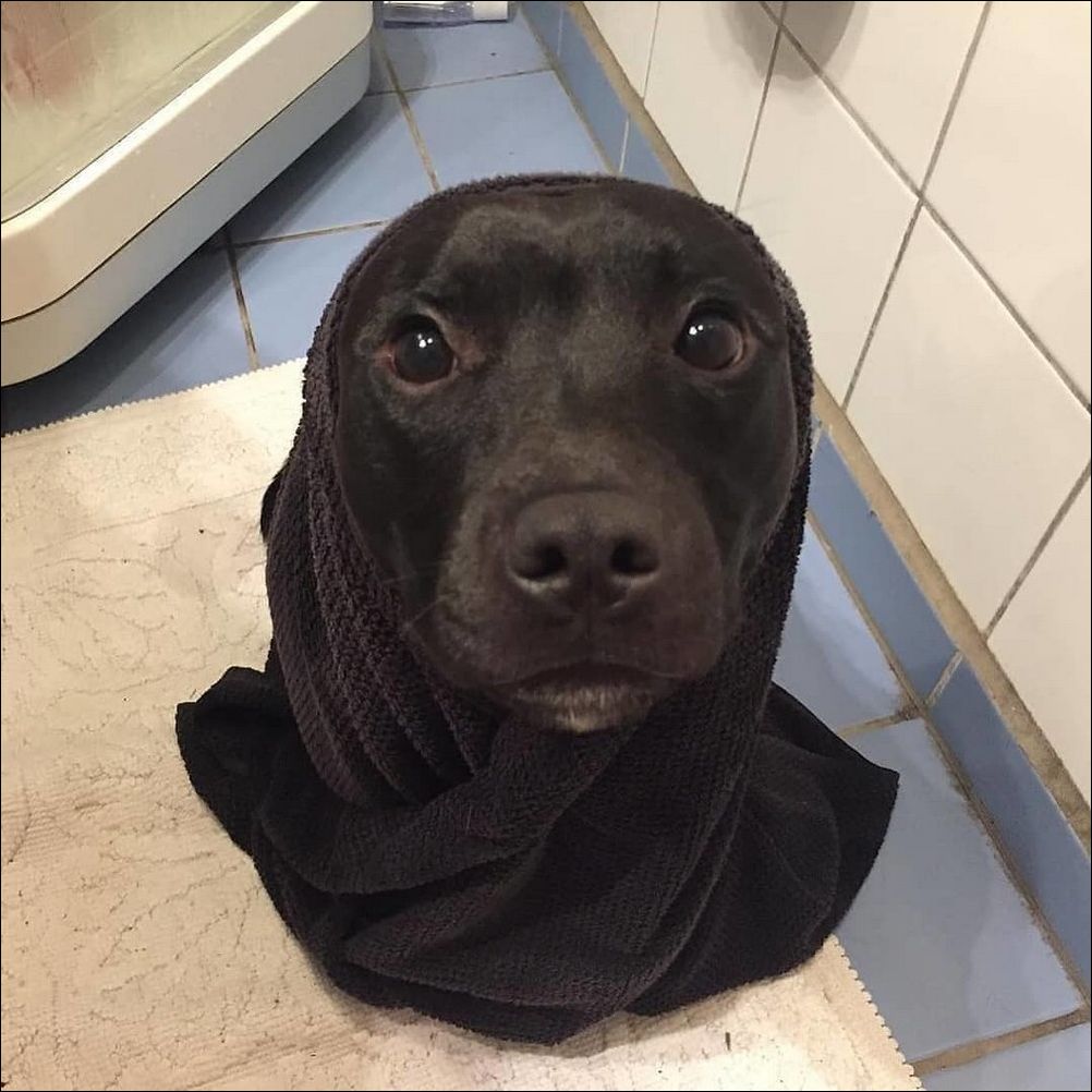 фото приколы