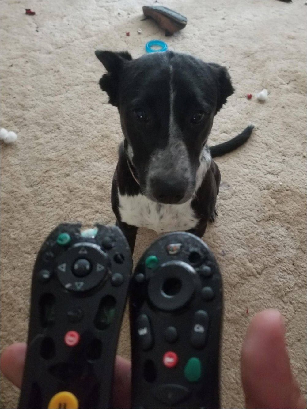 фото приколы