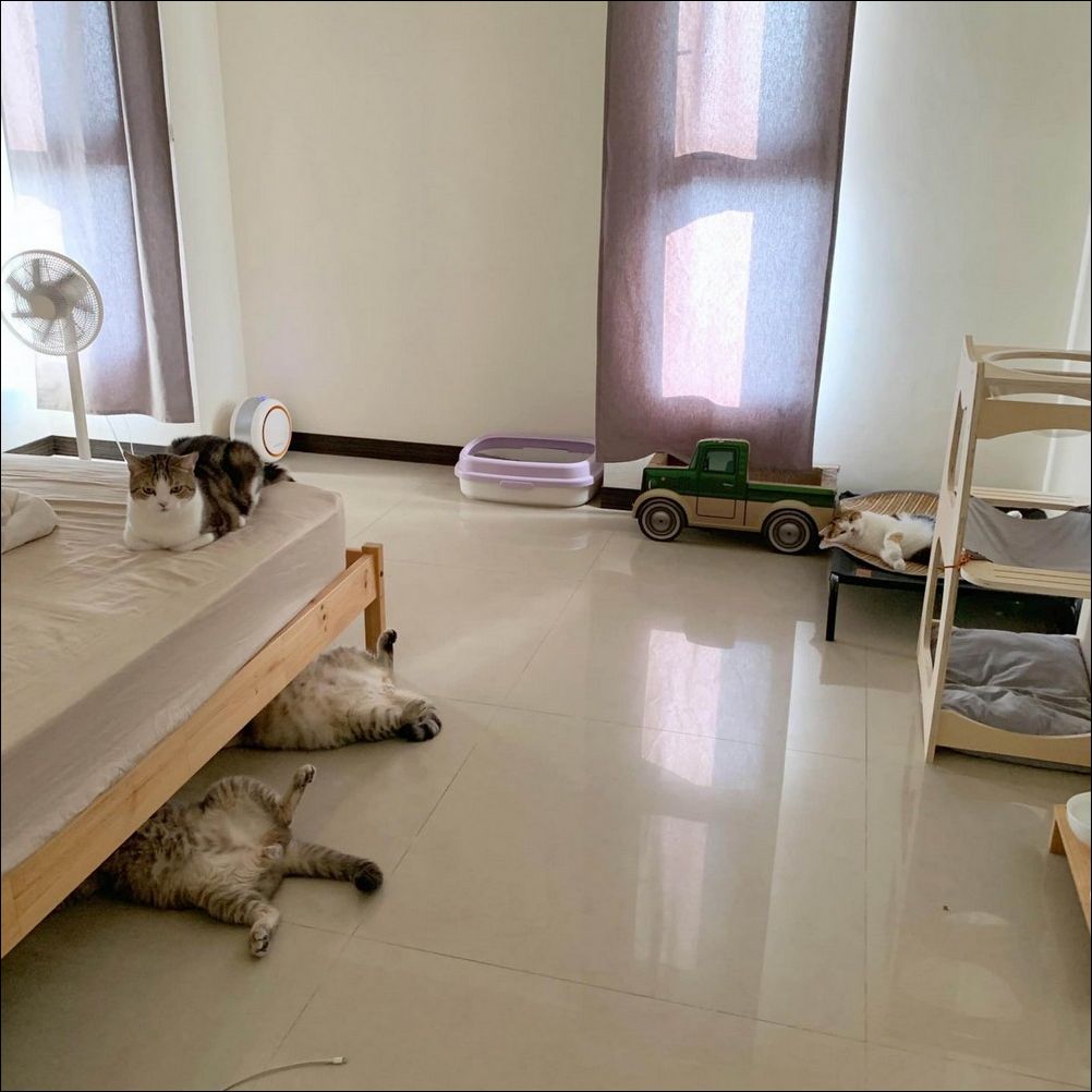 фото приколы