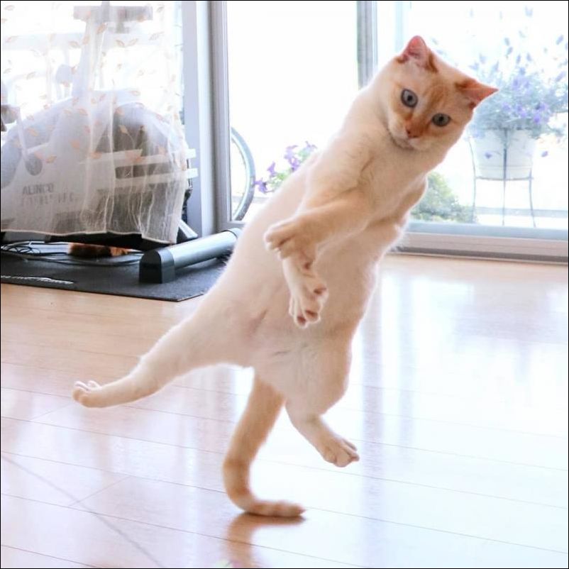 фото приколы