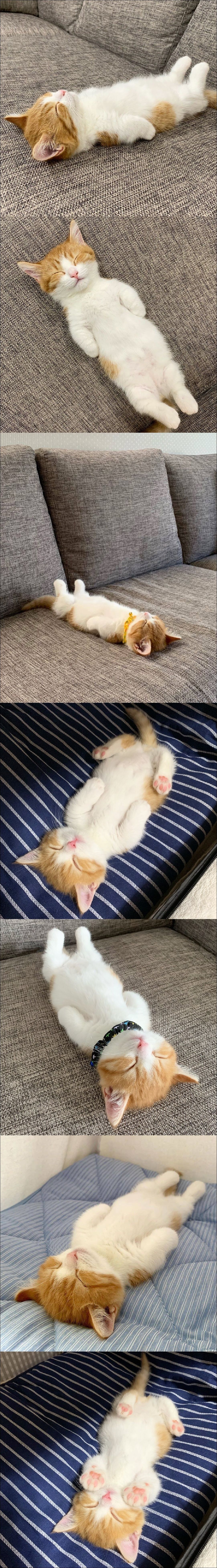 фото приколы