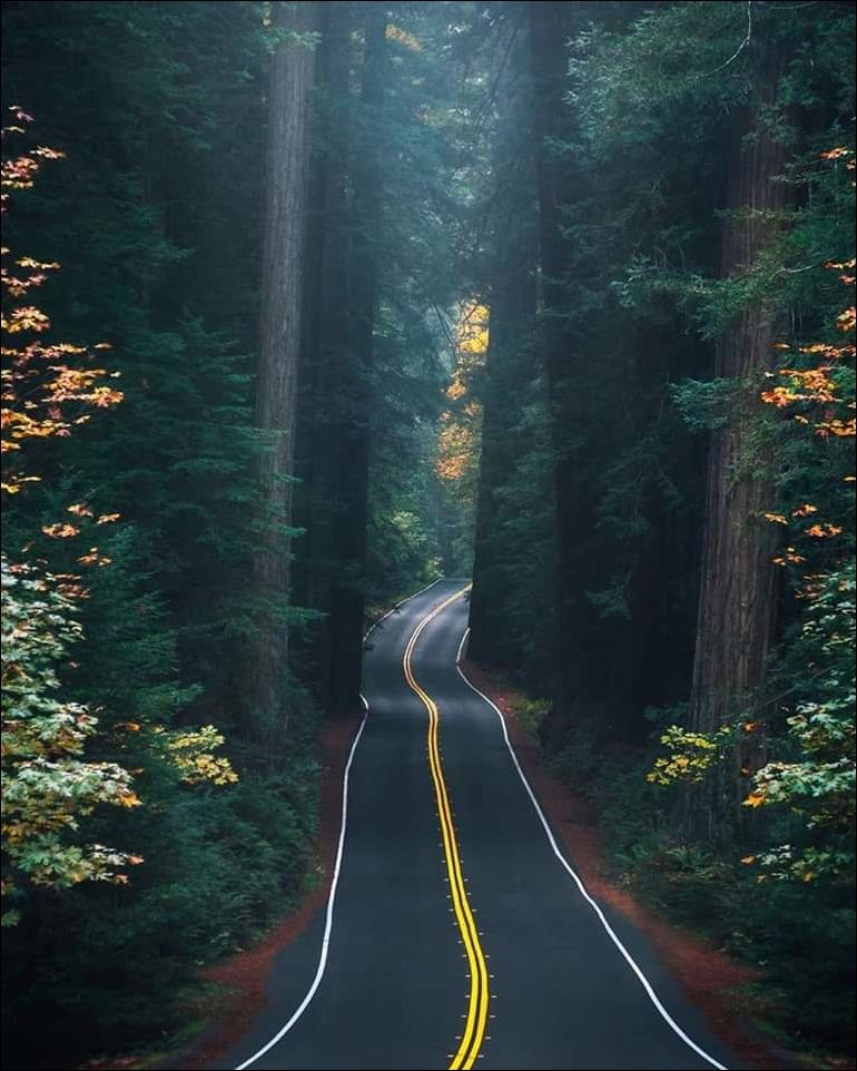 фото приколы