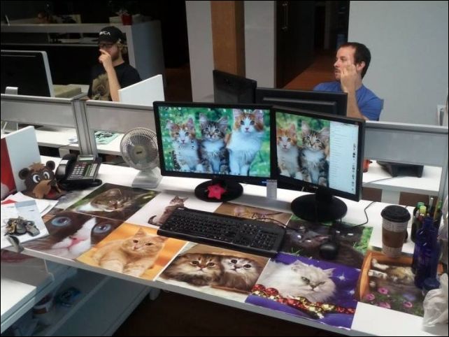 фото приколы