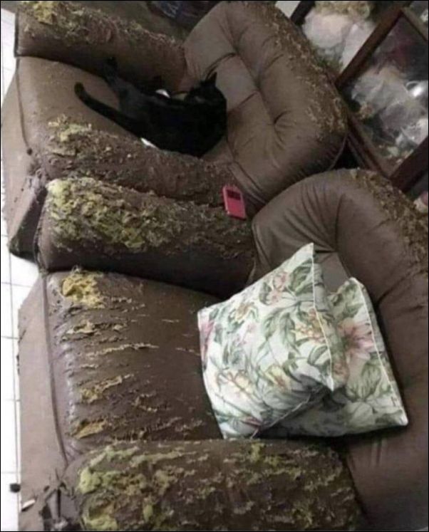 фото приколы