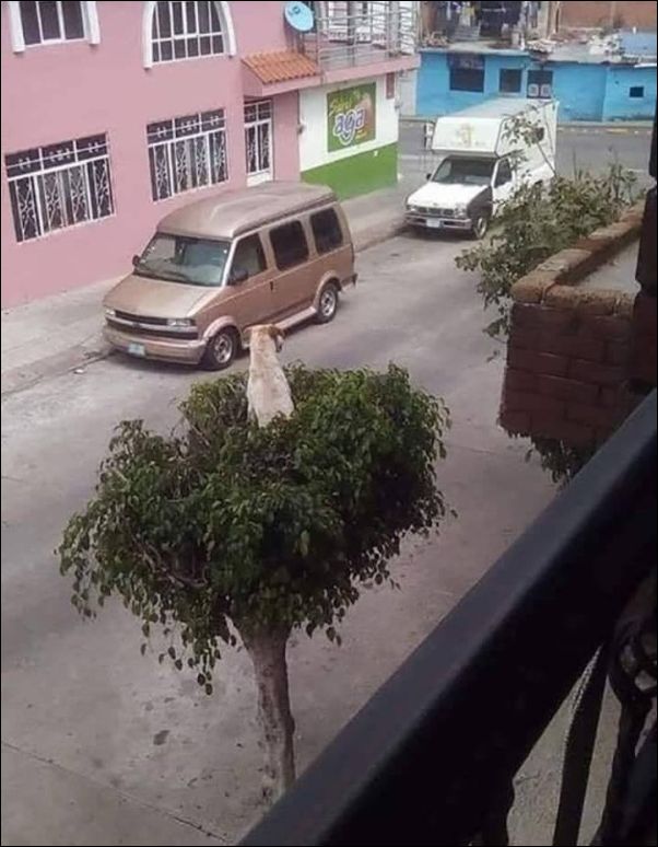 фото приколы