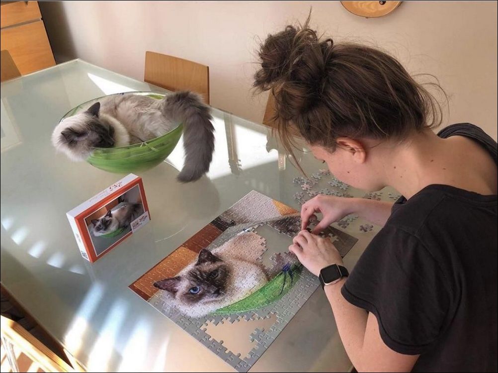 фото приколы