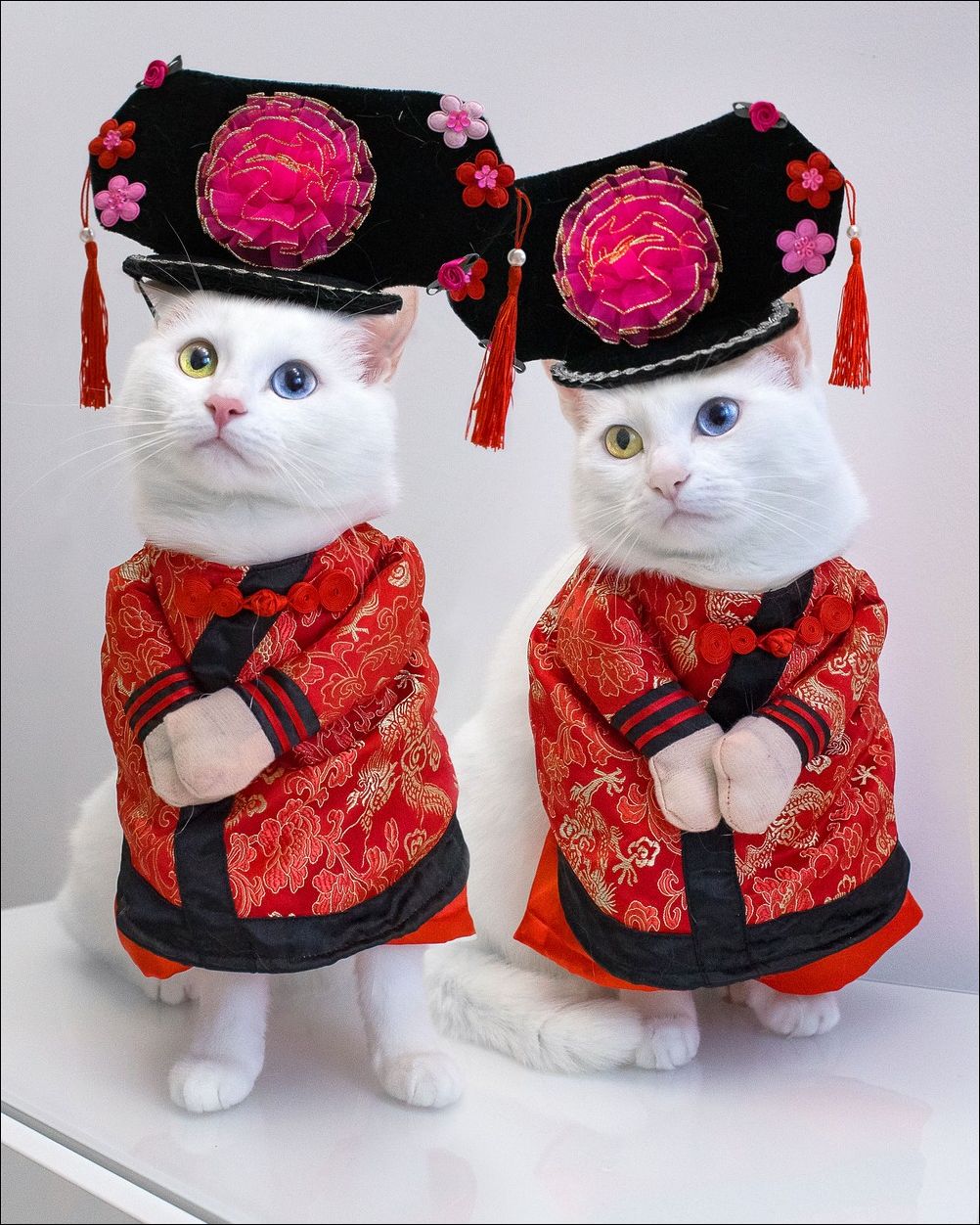 фото приколы