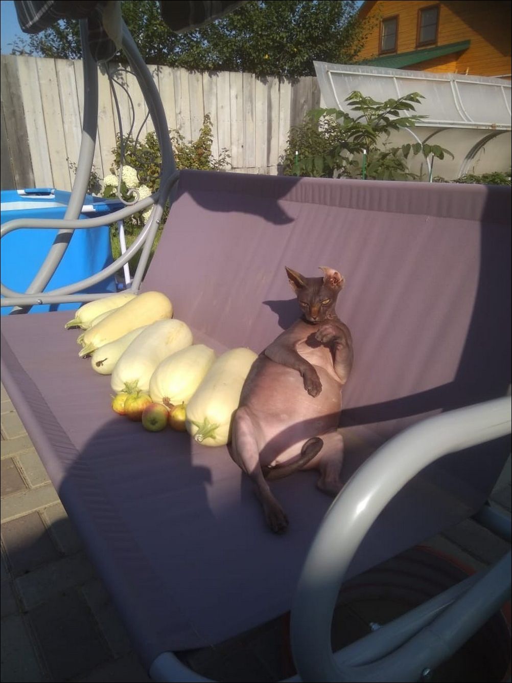 фото приколы