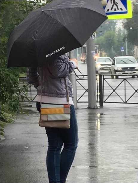 фото приколы