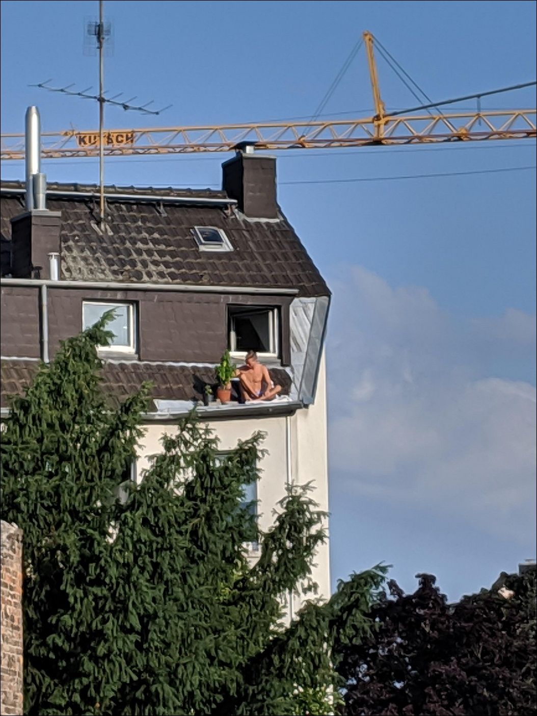 фото приколы