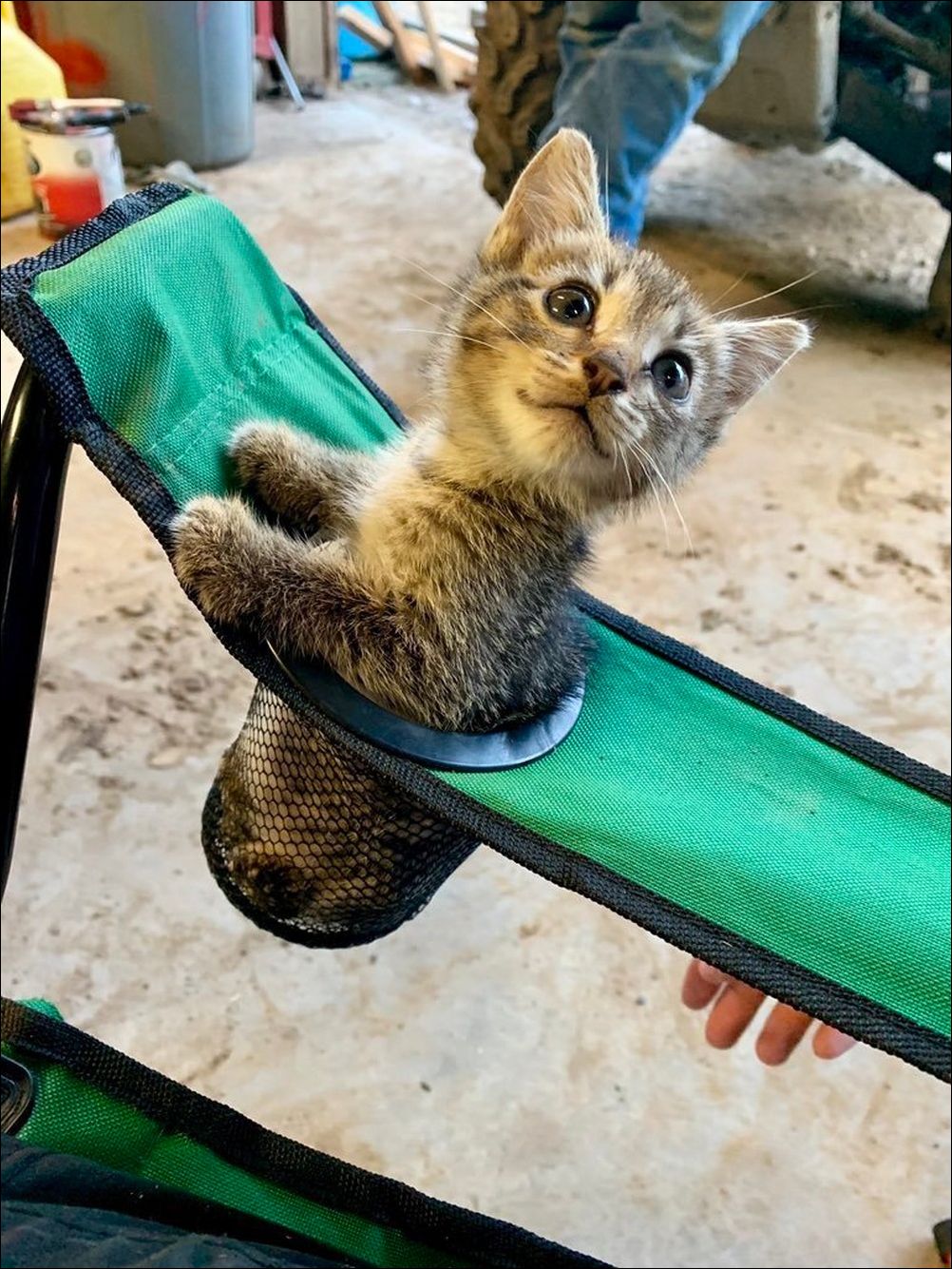 фото приколы