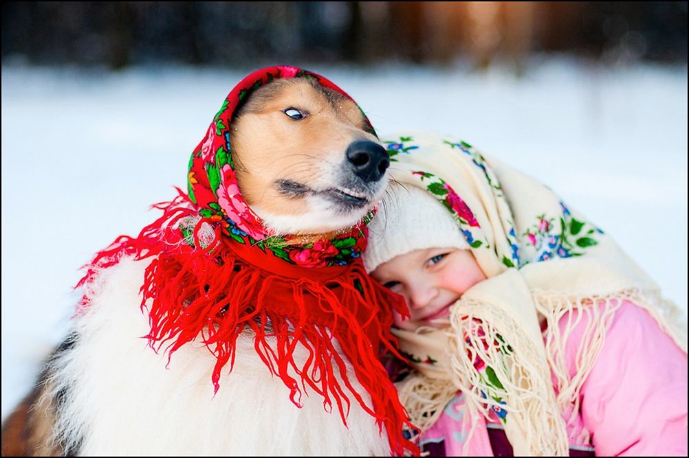 фото приколы