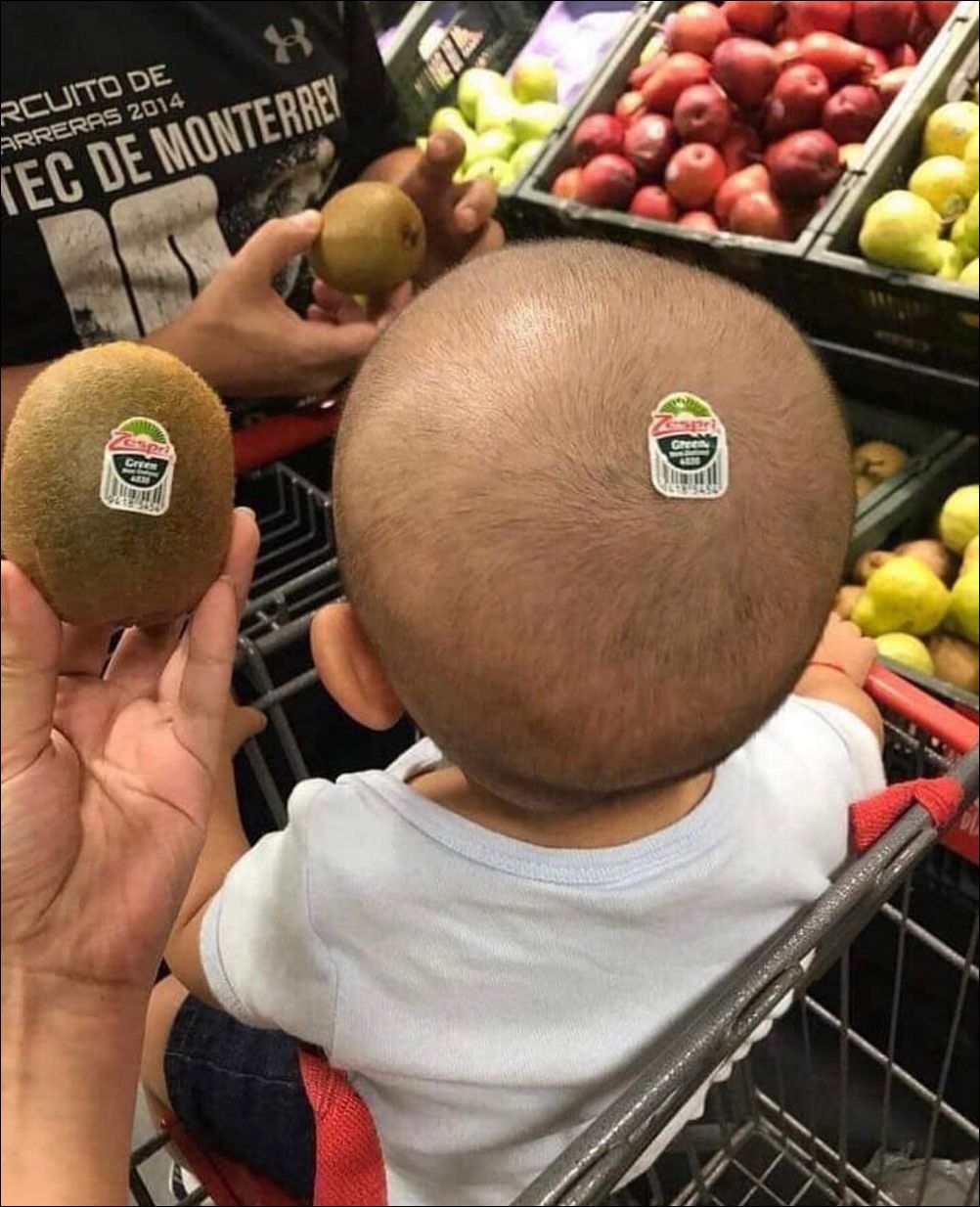 фото приколы