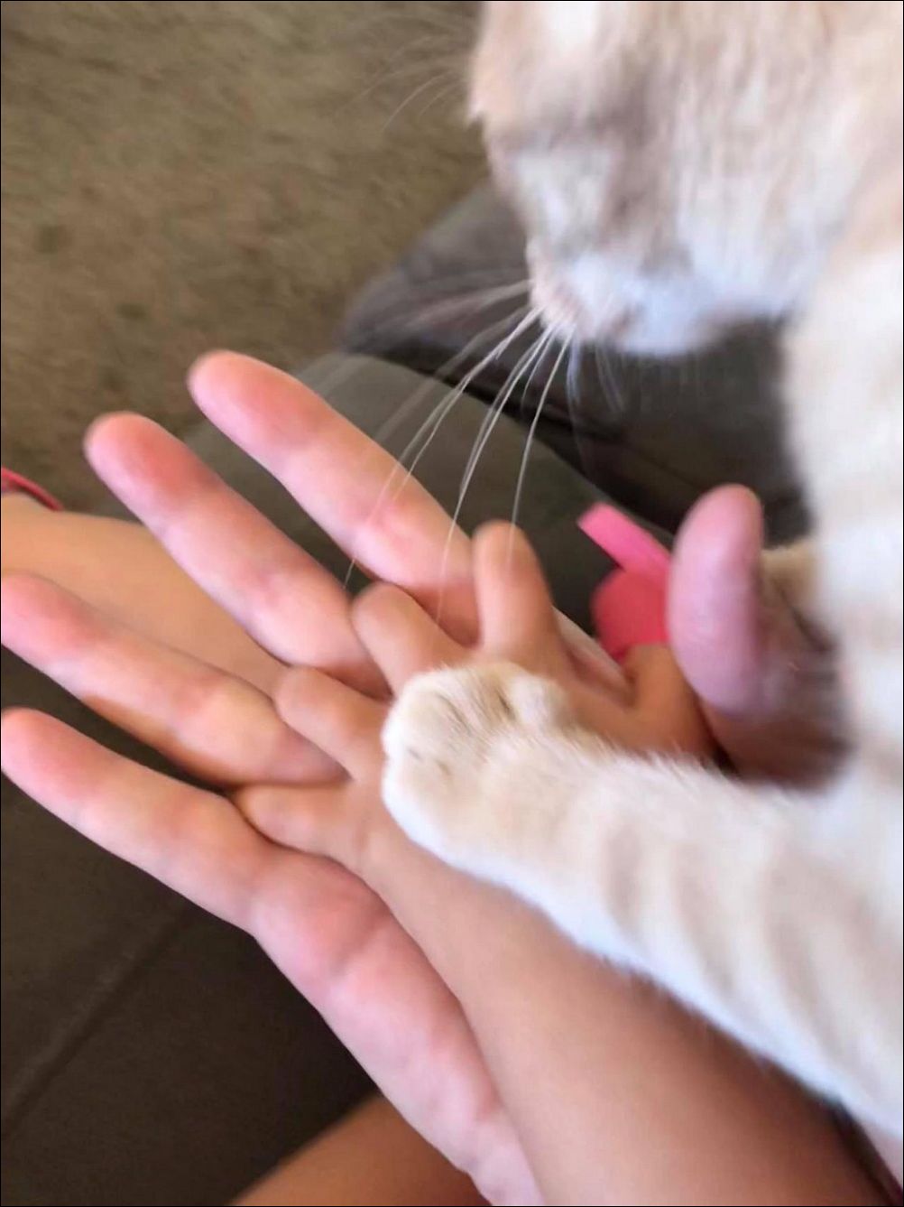 фото приколы