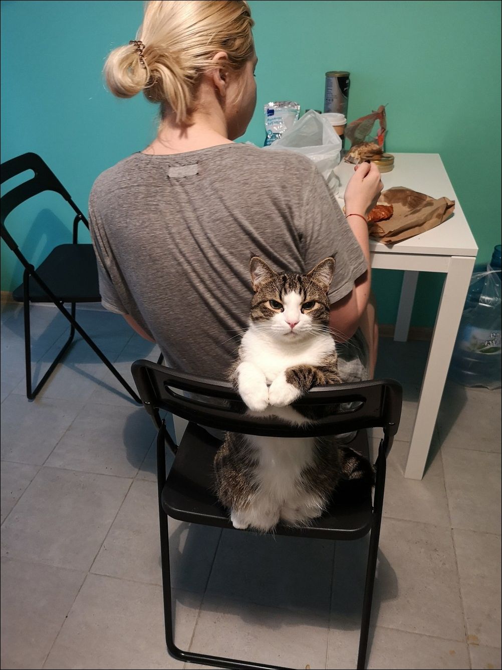 фото приколы