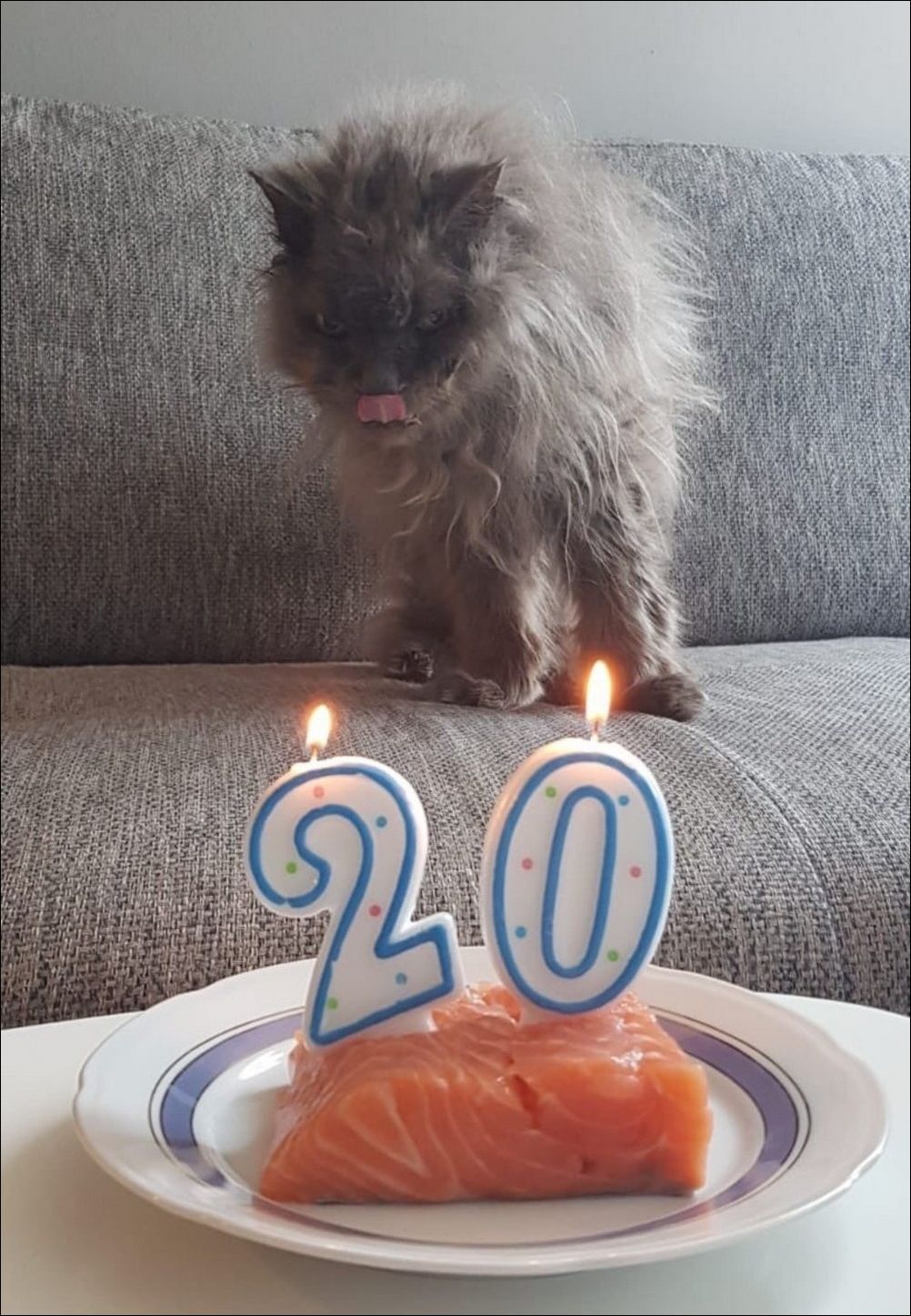 фото приколы