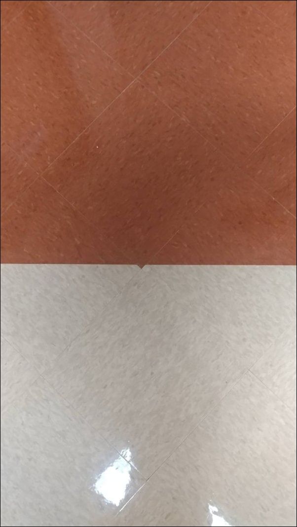 фото приколы