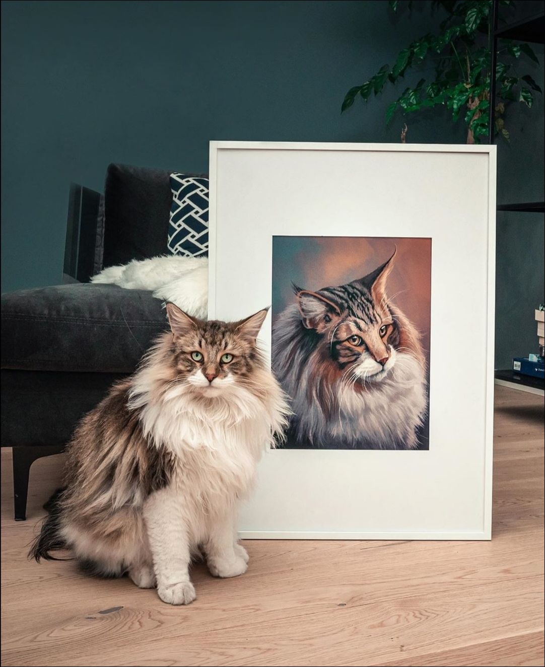 фото приколы