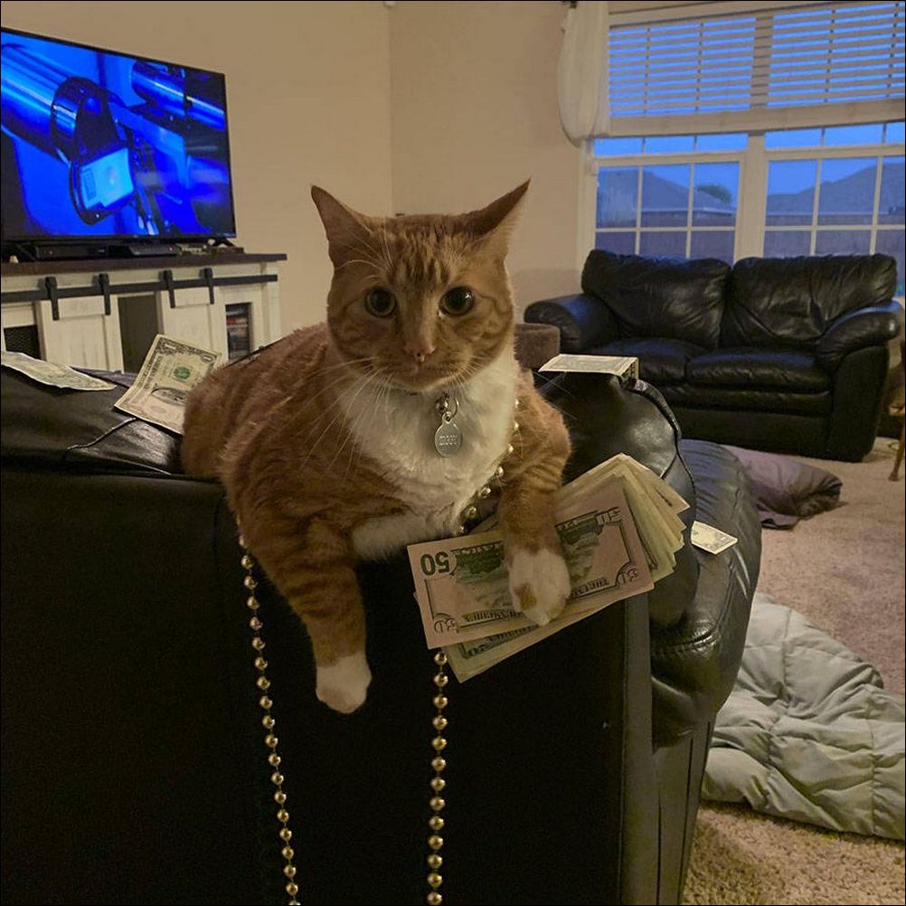 фото приколы