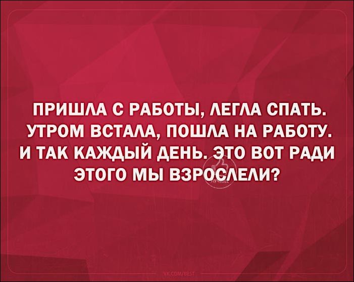 смешные аткрытки