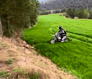 Прикольные гифки